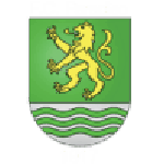 Логотип команды Парадизо