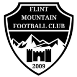 Логотип команды Флинт Маунтин