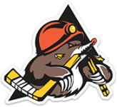 Логотип команды Солигорск