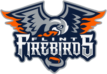 Логотип команды Флинт Фаербердс Логотип команды Флинт Фаербердс