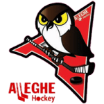 Логотип команды Аллеге