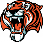 Логотип команды Амурские Тигры