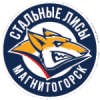 Логотип команды Стальные Лисы
