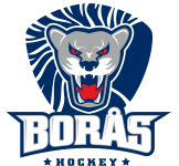 Логотип команды Бурос