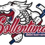 Логотип команды Соллентуна