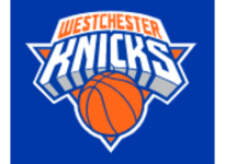 Логотип команды Westchester