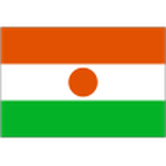 Логотип команды Нигер