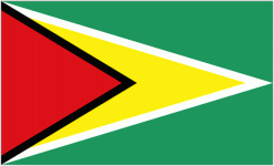 Логотип команды Guyana W U17