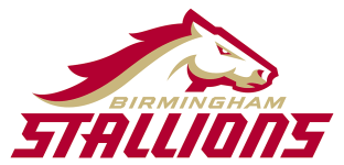 Логотип команды Сталлион В