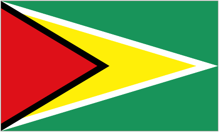 Логотип команды Guyana U20 Логотип команды Guyana U20
