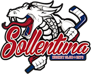 Логотип команды Соллентуна (до 20)