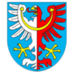 Логотип команды Милин