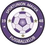 Логотип команды Юнион Мауэр Логотип команды Юнион Мауэр