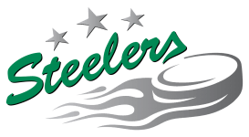 Логотип команды Битигхайм/Биссинген