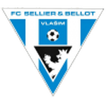 Логотип команды Влашим