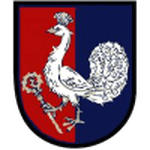 Логотип команды Петрвальд-на-Мораве