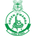 Логотип команды Грин Мамба