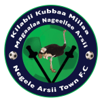 Логотип команды Негелле Арси