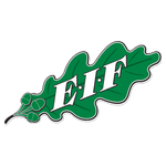 Логотип команды EIF Академия