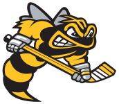 Логотип команды Сарния Стинг Логотип команды Сарния Стинг