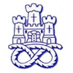 Логотип команды Ньюкасл Таун