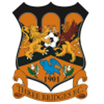 Логотип команды Три Бриджес