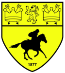 Логотип команды Ньюмаркет Таун