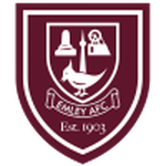 Логотип команды АФК Эмли