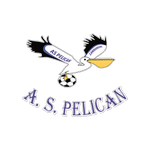 Логотип команды Пеликан