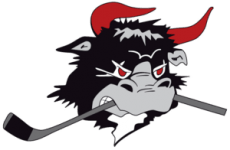 Логотип команды Родовре Майти Буллс