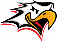 Логотип команды Ваасан Спорт