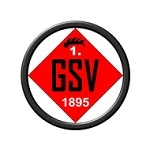 Логотип команды Гёппингер СВ