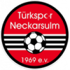 Логотип команды Тюркспор Неккарзульм