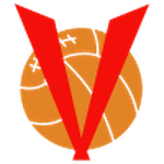 Логотип команды Видир