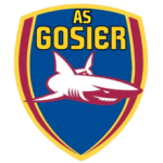 Логотип команды Гозье