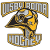 Логотип команды Висби/Рома