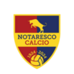Логотип команды Нотареско Логотип команды Нотареско