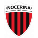 Логотип команды Ночерина