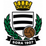 Логотип команды Сора
