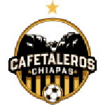 Логотип команды Стонехилл