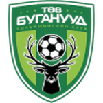 Логотип команды Центральные Сталлоны