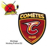 Логотип команды Мёдон