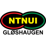 Логотип команды NTNUI