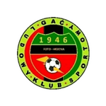 Логотип команды Гач Олава