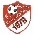 Логотип команды Виазвоница