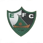 Логотип команды Электрико