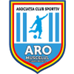 Логотип команды ARO Мускелул Кэмпулунг