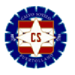 Логотип команды Кальво Сотело