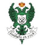 Логотип команды Толедо