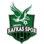 Логотип команды Инегёль Кавкас Генлик